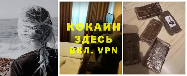 дживик Алзамай