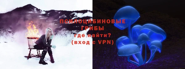 дживик Алзамай