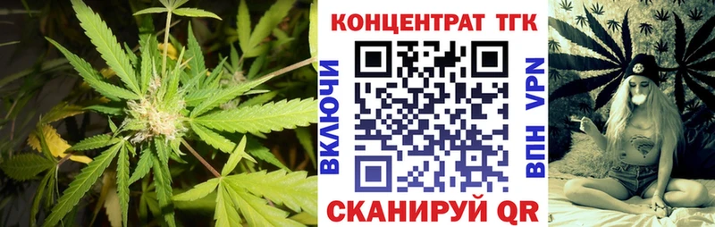 ТГК THC oil  закладка  Моздок 