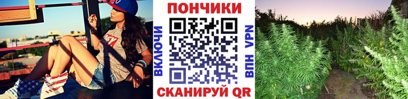 Канабис Ganja где можно купить Моздок
